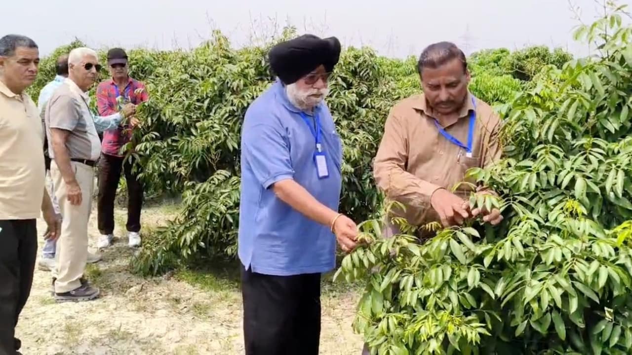 10×15 फीट में खेती, ज्यादा मुनाफा! बिहार बना पंजाब के किसानों का ट्रेनिंग हब