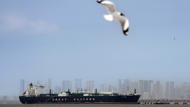 जग वसंत को भी होर्मुज से निकालकर लाई थी भारतीय नौसेना (Photo: PTI)