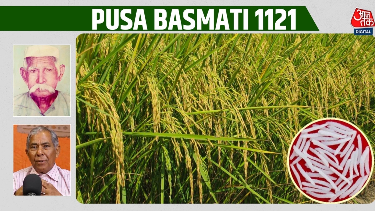 खुशबू, लंबाई और स्वाद का कमाल... भारतीय बासमती को दुनिया के नक्शे पर पहुंचाने की कहानी