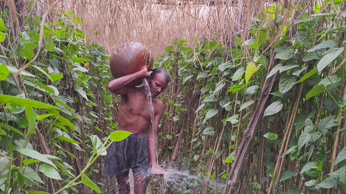 प्रतापगढ़ ज़िले में सबसे ज़्यायदा पान की खेती पट्टी इलाक़े में होती है. (Photo: Sakib Mazeed/ITG)