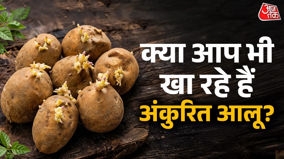 अंकुरित हुए आलू खाना सेहत के लिए खतरनाक हो सकता है. (Photo: ITG)