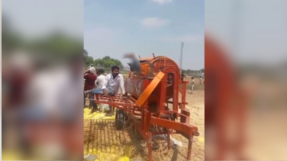 man killed under thresher machine