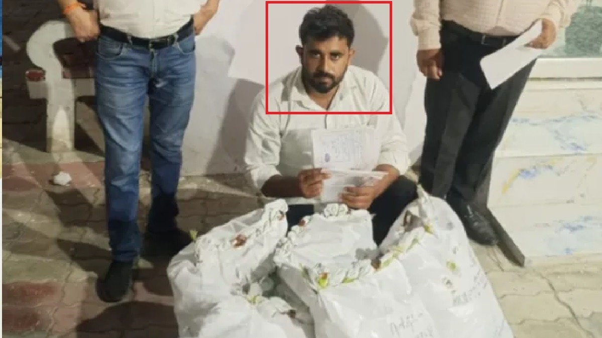 लखनऊ में ऑक्सीटोसिन इंजेक्शन की तस्करी का भंडाफोड़, गैंग का एक सदस्य गिरफ्तार