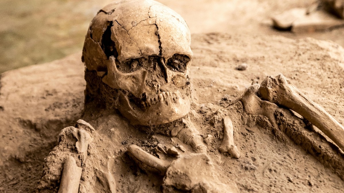 Human origin Africa theory