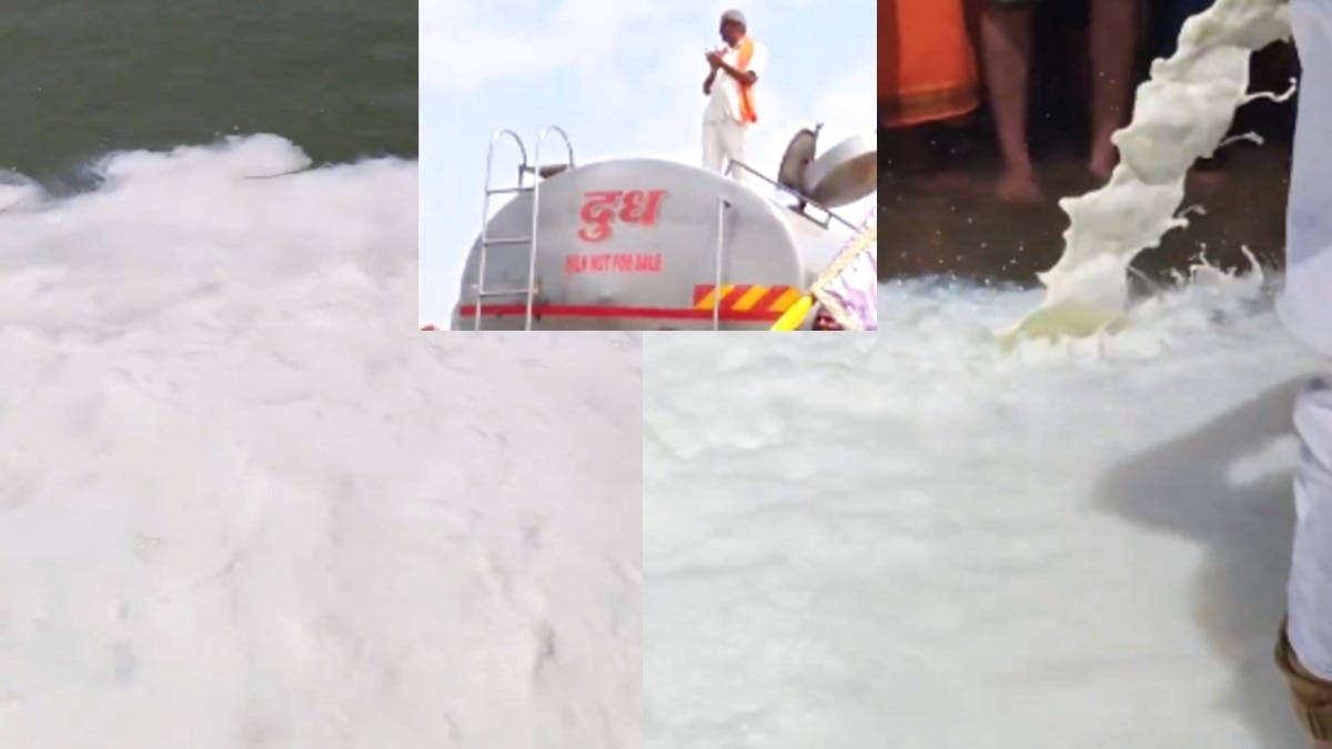 दूध की धारा और नर्मदा का संगम.(Photo:Screengrab)