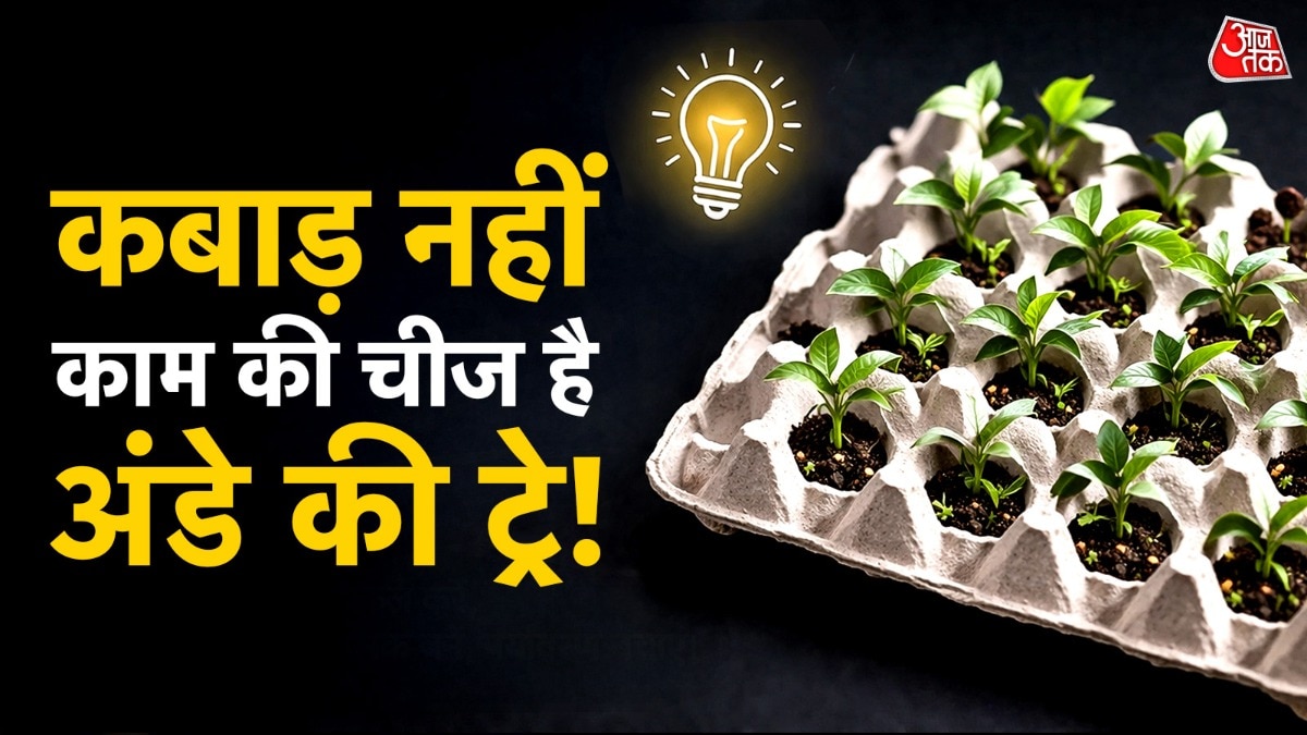 Egg Cartons Uses (Photo: ITG)