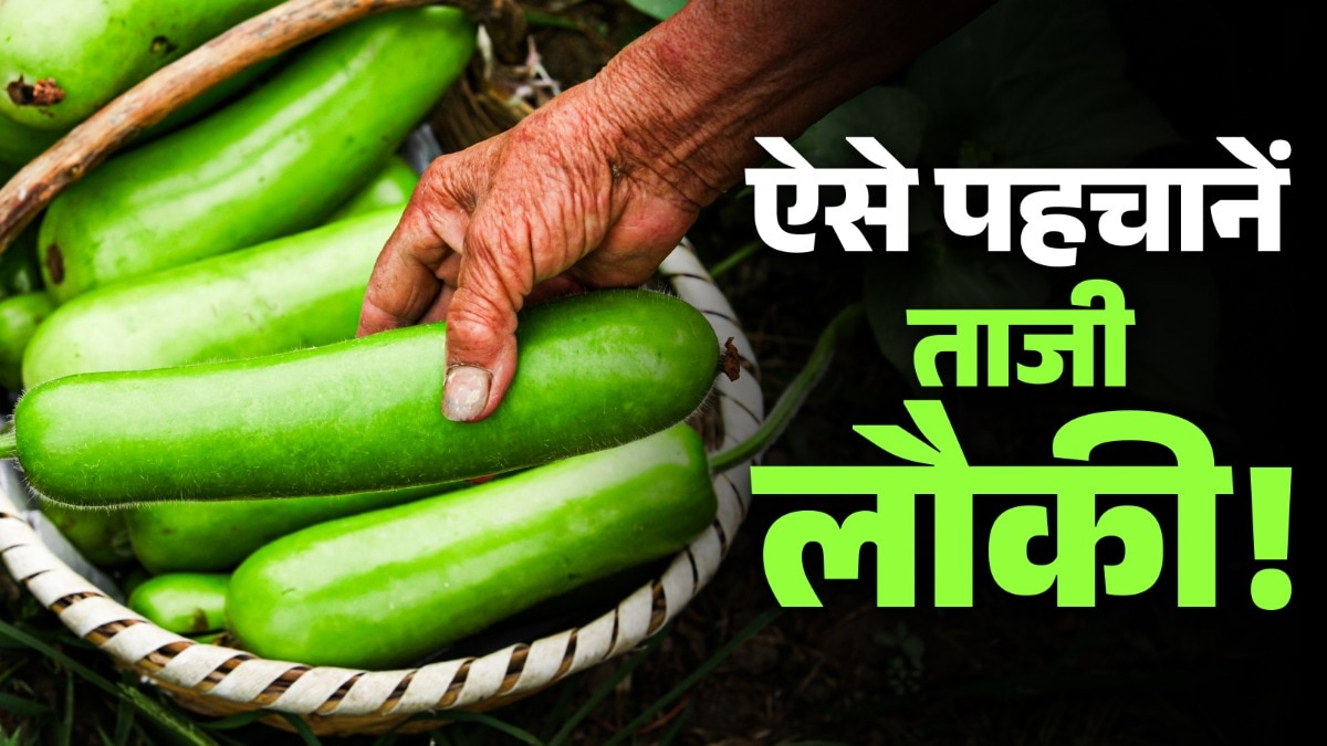 अब घर नहीं आएगी बीजों वाली सख्त लौकी! इन देसी तरीकों से खरीदें ताजी