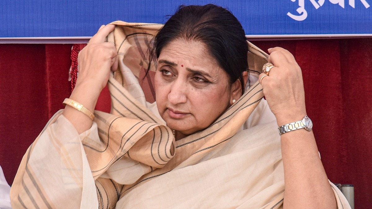 सुनेत्रा पवार एनसीपी के टिकट पर उपचुनाव लड़ रही हैं (File Photo- PTI)