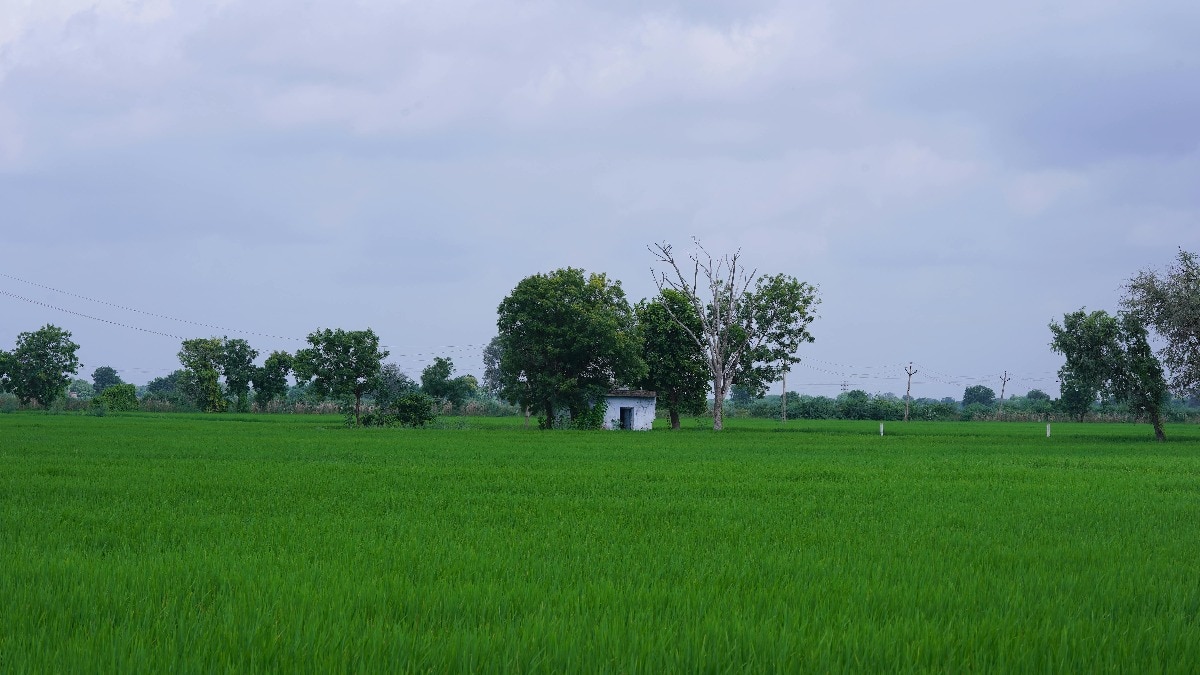 निवेश के लिए सही लोकेशन चुनने का फॉर्मूला, इन इलाकों की प्रॉपर्टी बनेगी 'सोना'