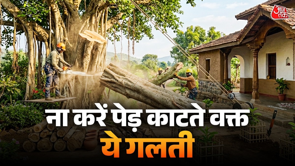 पेड़ काटने के जरूरी वास्तु नियम
