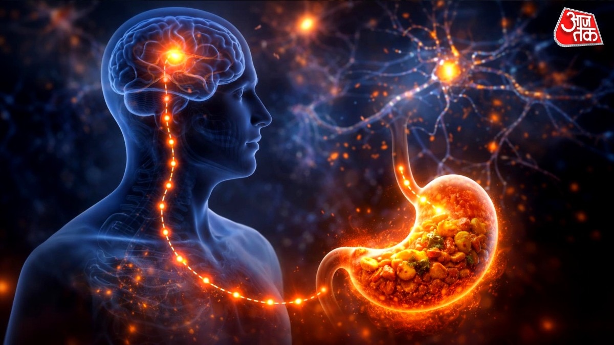 how-brain-signals-stomach-is-full