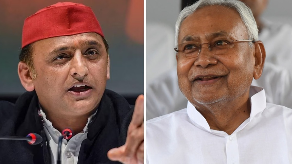 अखिेलश यादव ने कहा कि अब लगता है नीतीश कुमार राज्यसभा से ही रिटायर हो जाएंगे (File Photo- PTI)