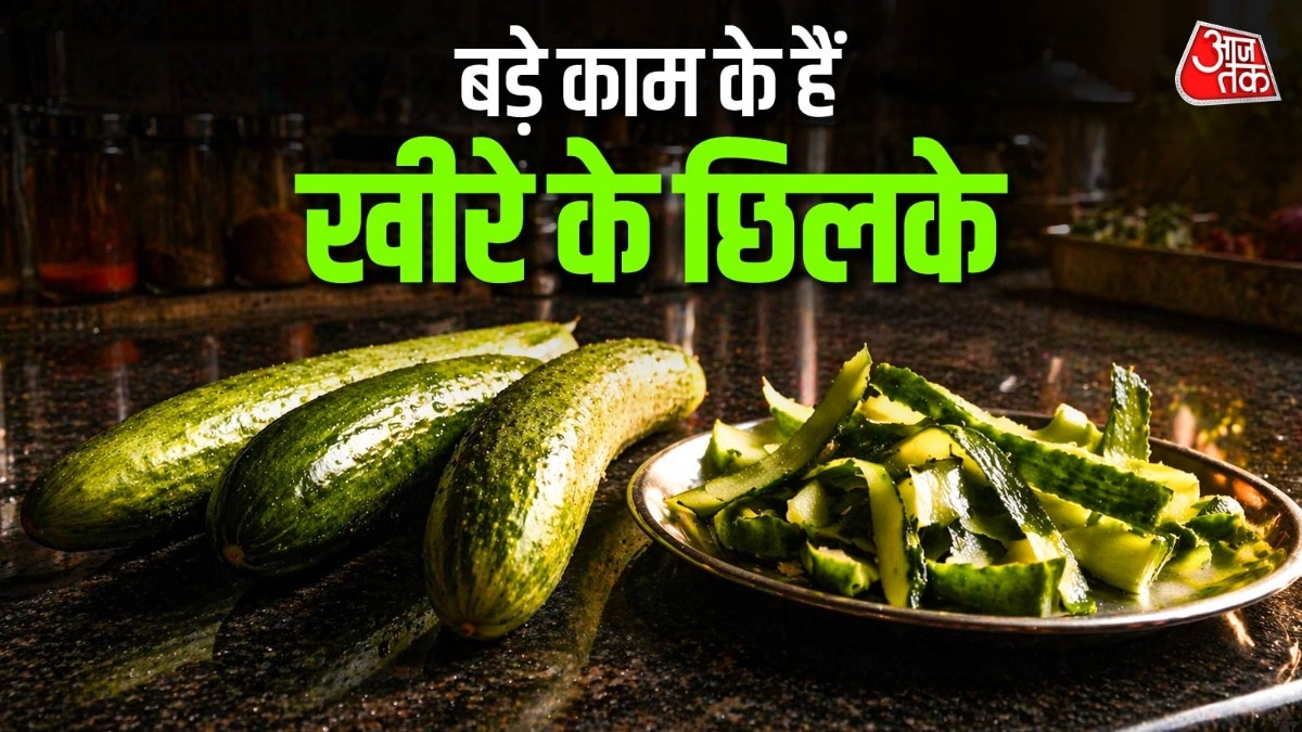 खीरे के छिलके के फायदे (Photo: ITG)