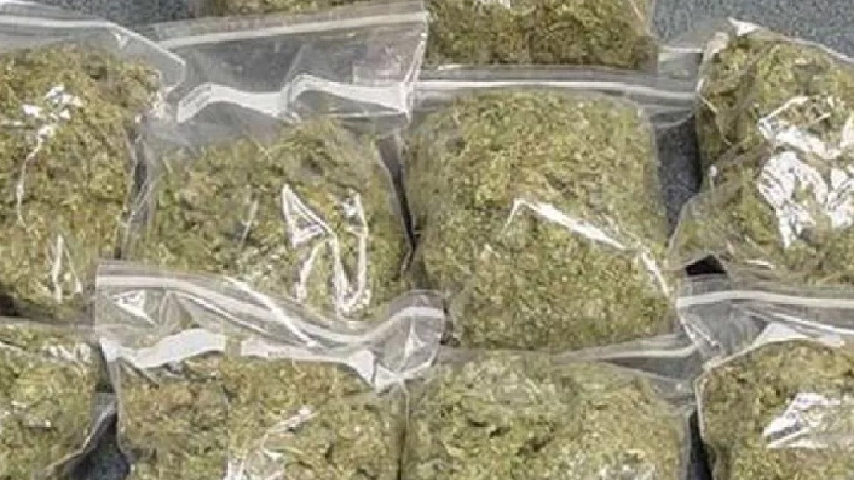 NCB Mumbai ganja seizure in Nagpur