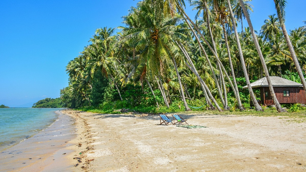 थाईलैंड के बीच पर अश्लील हरकत करते पकड़े गए टूरिस्ट (Photo - Pexels)