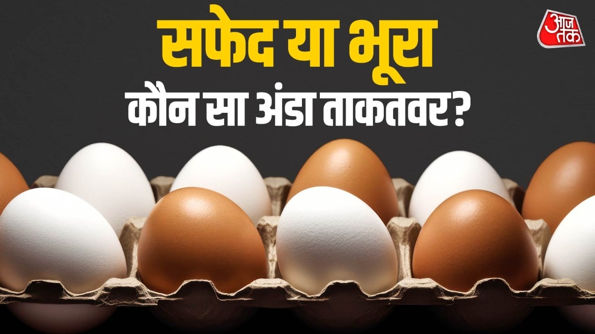 सफेद अंडा या भूरा अंडा: किसमें ज्यादा प्रोटीन? जानें सच