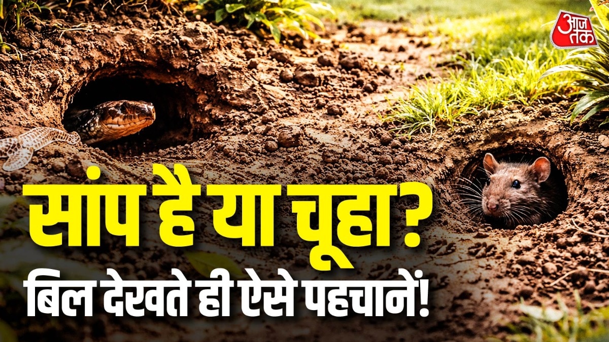 snake-hole-vs-rodent-hole