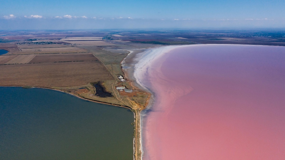 गुलाबी झीलें प्रकृति का एक अनोखा और खूबसूरत उदाहरण हैं. ( Photo: Pexels)