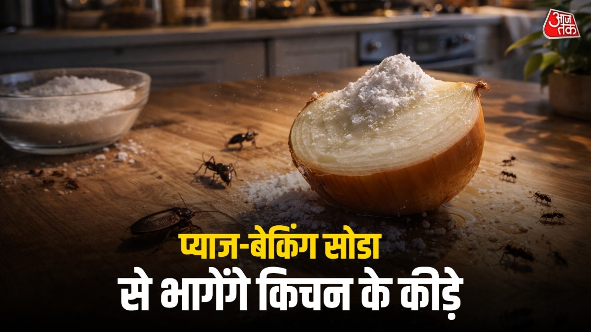 प्याज और बेकिंग सोडा के इस्तेमाल से महंगे पेस्ट कंट्रोल की जरूरत नहीं होगी. (Photo: ITG)