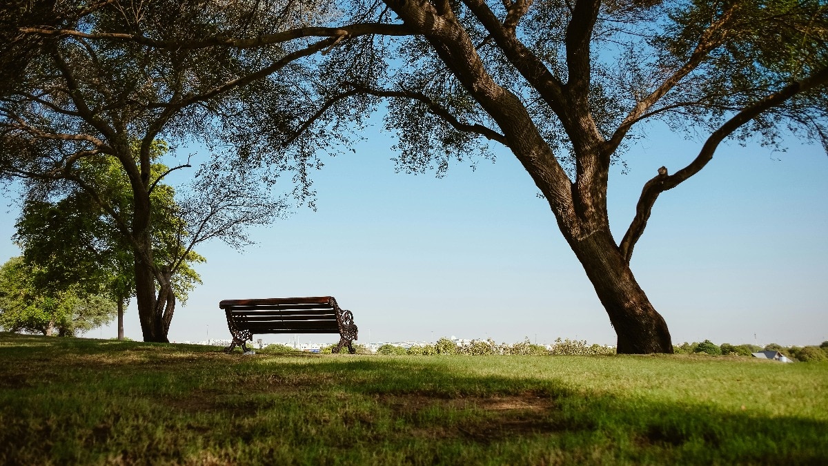 पार्क में सिर्फ घूमने नहीं ऑफिस का काम करने जाएंगे लोग