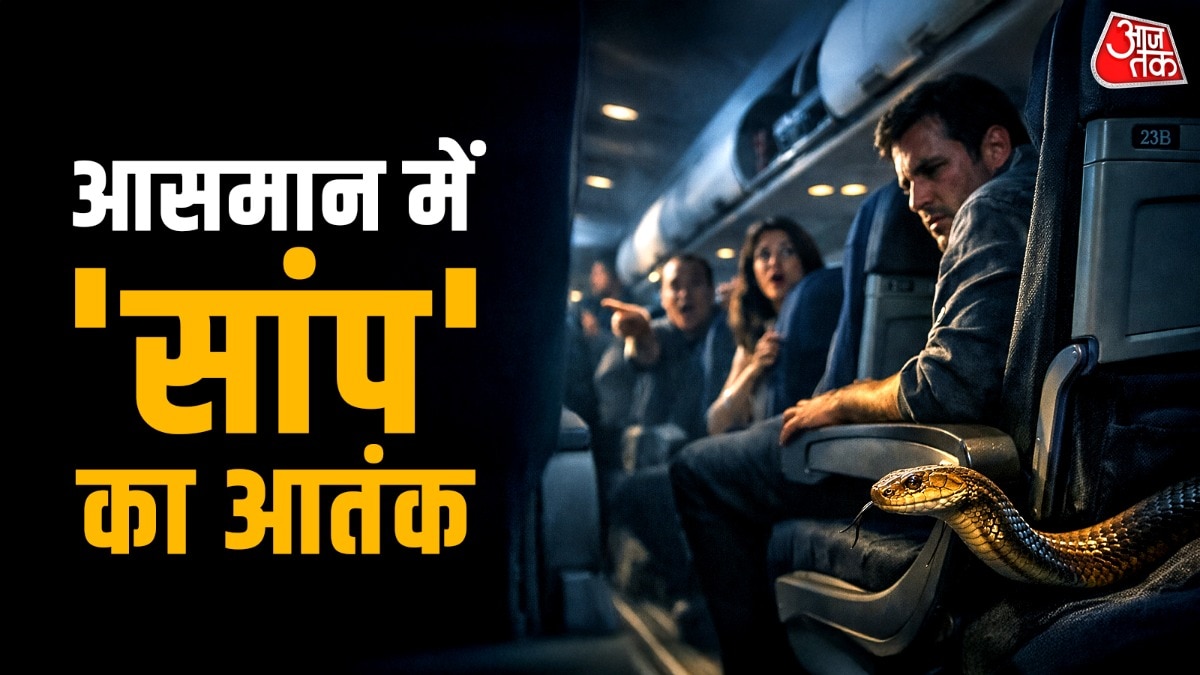 सांप ऐसी जगहों की तलाश में रहते हैं, जो गर्म हों. ऐसे में प्लेन उनके लिए परफेक्ट साबित होते हैं. (Photo: ITG)