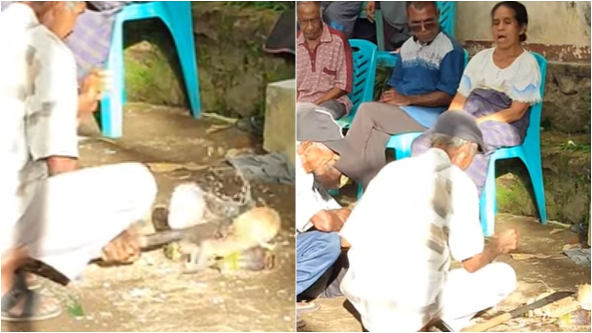 इंडोनेशिया में लेवाक तापो अनुष्ठान करते लोग (Photo - Youtube/@vinsbahi98)