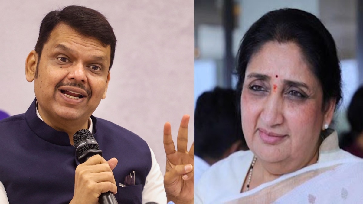 बारामती में आज प्रचार का आखिरी दिन, फडणवीस करेंगे बड़ी रैली (Photo: PTI)