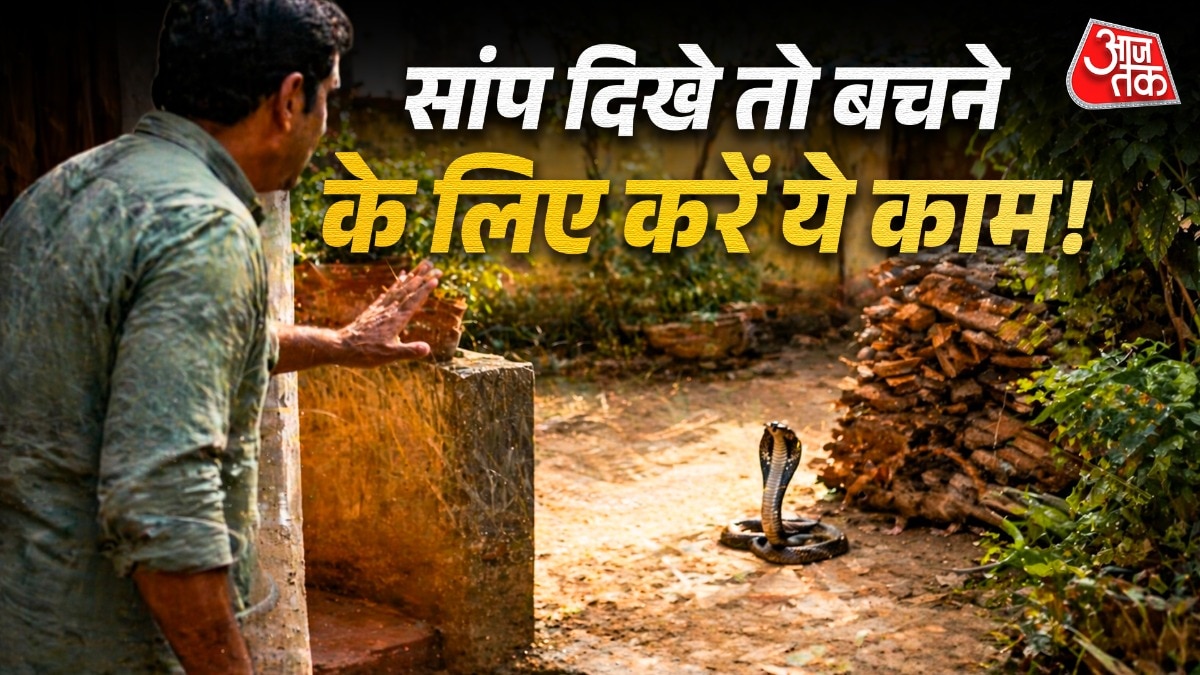 सांप को देखकर चीखने या चिल्लाने की गलती न करें. (Photo: ITG)