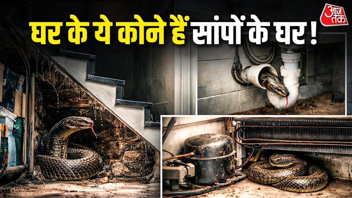 घर के इन 5 कोनों में छिपे हो सकते हैं सांप! ये हैं उनके छिपने के पसंदीदा ठिकाने