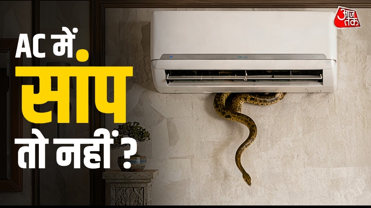 snake-hiding-spots-in-ac