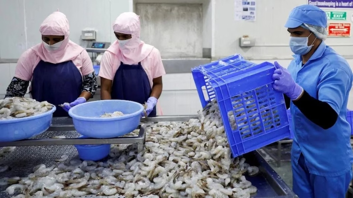 India Seafood Export Rise