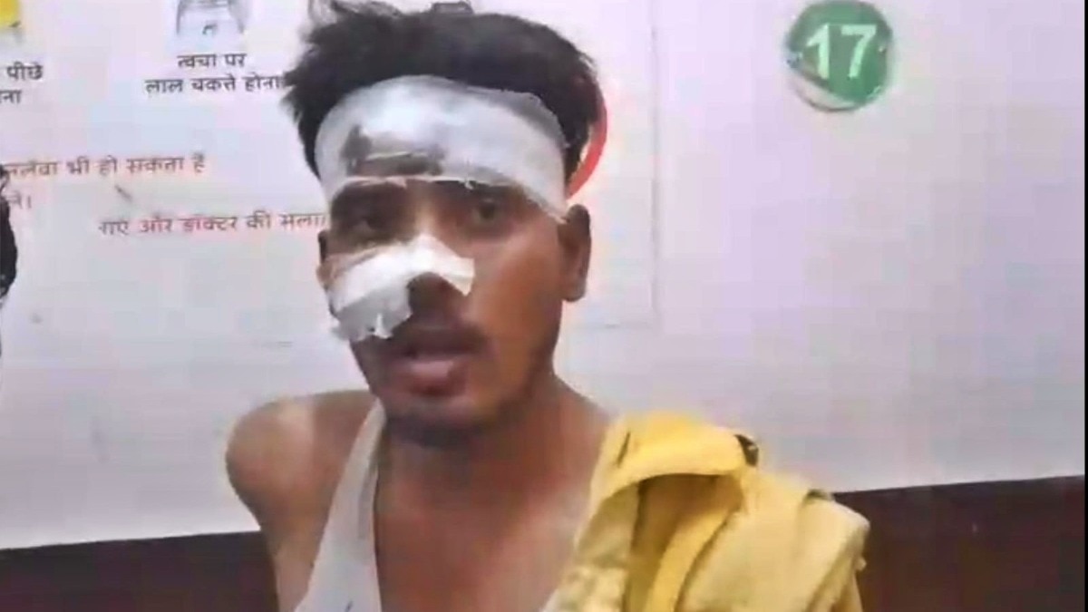 Dozens injured in dog attack incident (Photo: ITG)