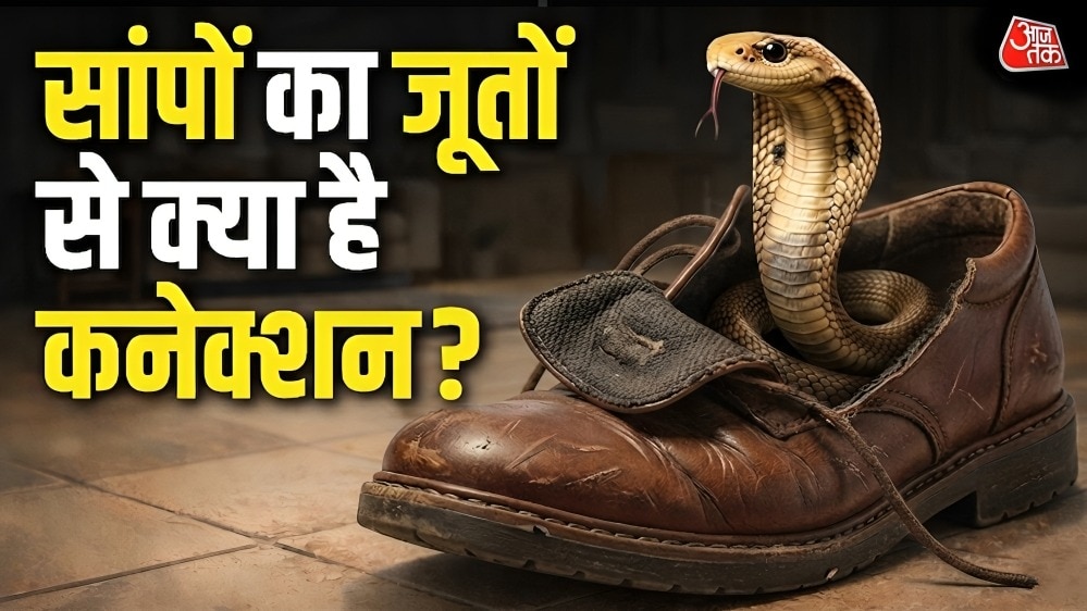 सांप अक्सर जूते में छिपे मिलते हैं. (Photo: ITG)