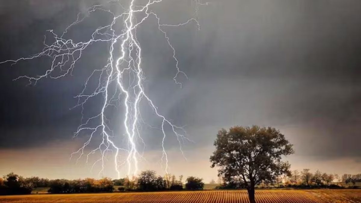 खेत में काम करते समय गिरी बिजली. (Photo: Representational)