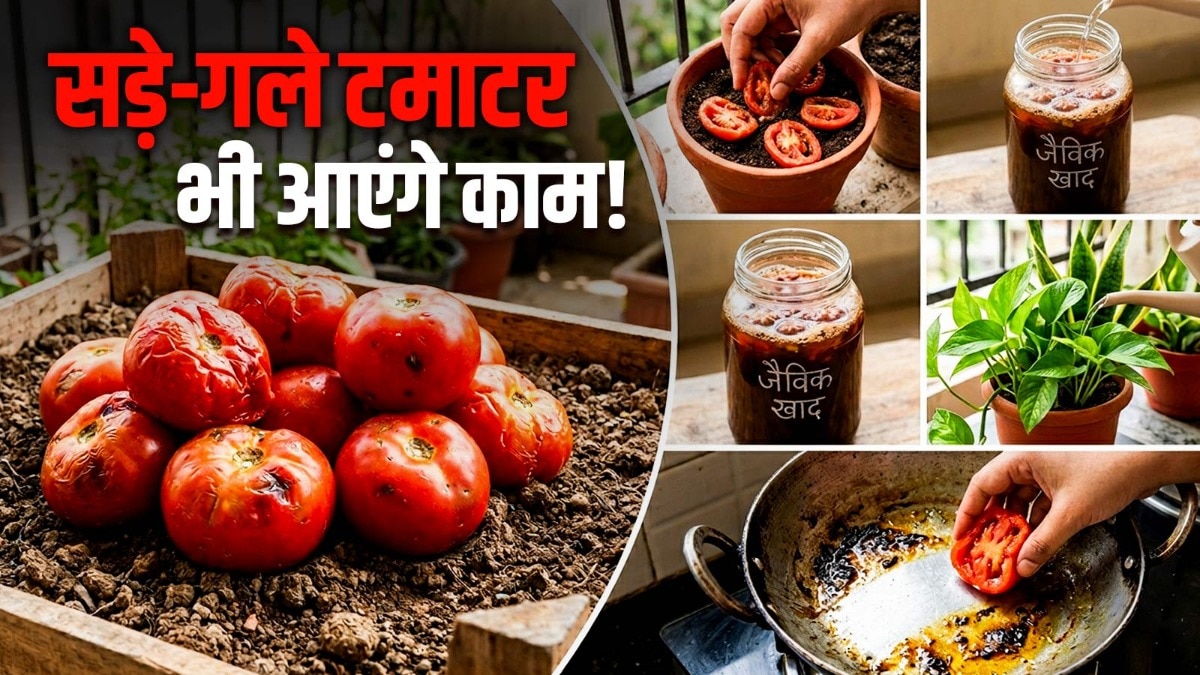 How To Use Overripe Tomatoes (Photo: ITG)