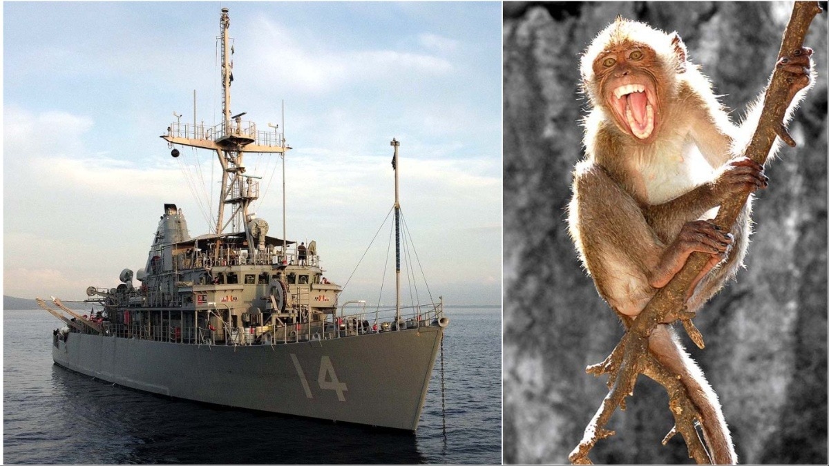 स्ट्रेट ऑफ होर्मुज से माइंस हटाने जा रहे अमेरिकी नौसैनिक पर बंदर का हमला