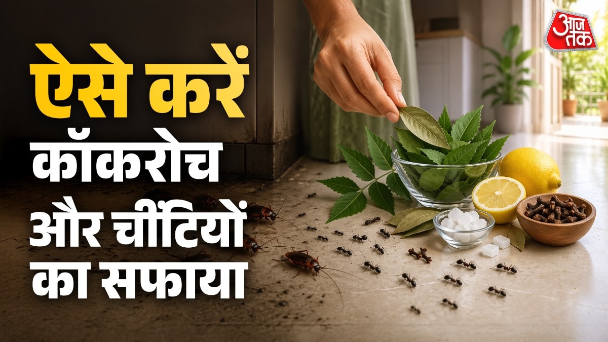 how to get rid of cockroaches