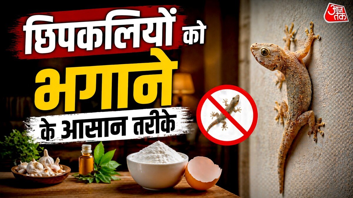 छिलकलियों को खुशबू बिल्कुल पसंद नहीं होती. (PHOTO:ITG/AI )