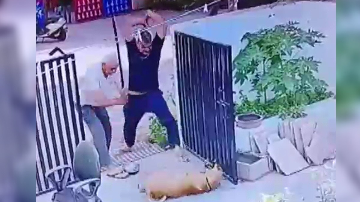 पिता-पुत्र ने कुत्ते पर ताबड़तोड़ हमला कर दिया.(Photo:Screengrab)