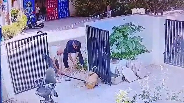 पशु क्रूरता समेत कई धाराओं में केस दर्ज.(Photo: Screengrab)