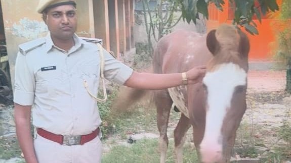 21.780 लीटर शराब बरामद.(Photo: Abhishek Pandey/ITG)