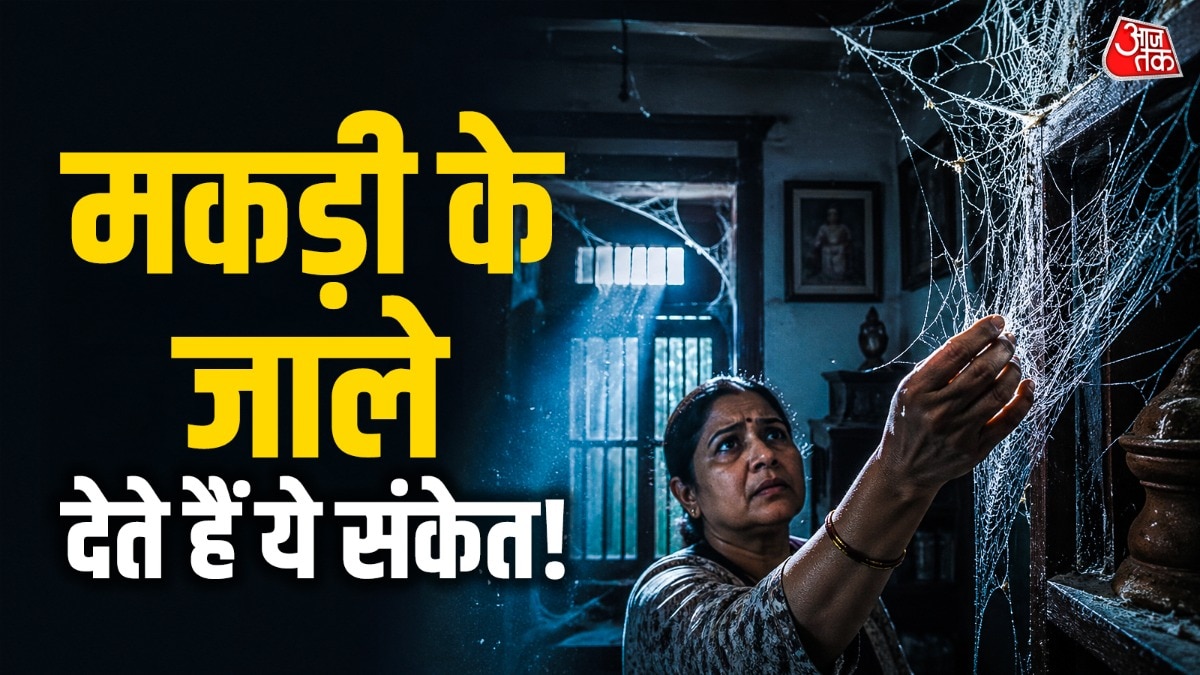 मकड़ी के जालों को न करें नजरअंदाज, लग सकता है वास्तु दोष!