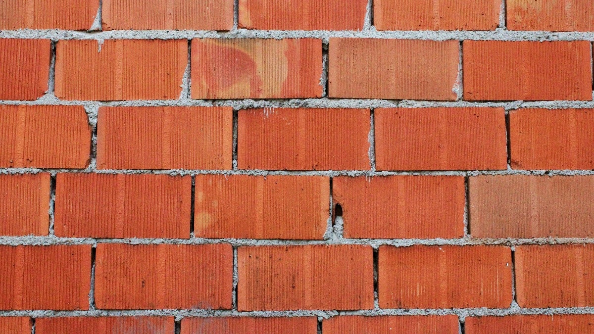 ना पेंट, प्लास्टर का खर्चा... ट्रेंड में है ये फेसिंग ईंट, सस्ते में बनेगा मजबूत घर