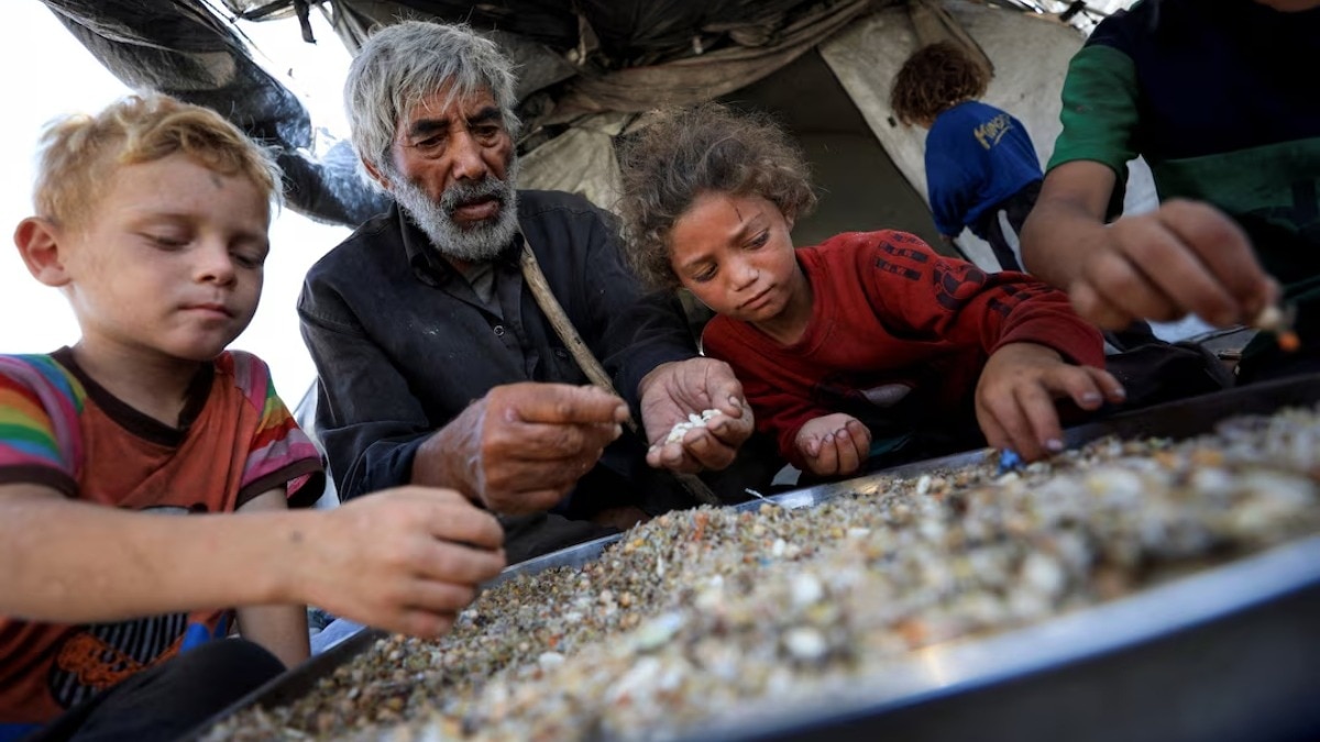 World Bank Food Crisis Warning