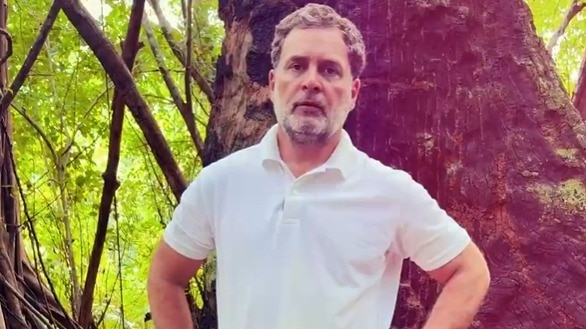 ग्रेट निकोबार प्रोजेक्ट को राहुल गांधी ने बताया घोटाला, बोले- ये विकास नहीं, विनाश है