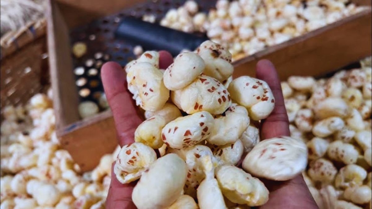 मखाना प्रोसेसिंग यूनिट लगाने और ब्रांडिंग-मार्केटिंग पर भी मिलेगी मदद (फाइल फोटो- ITG)