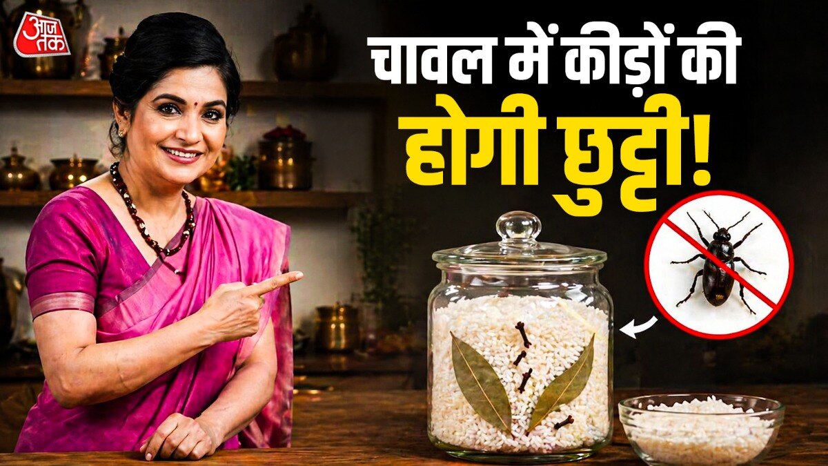 How to Save rice from insects (Photo: ITG)