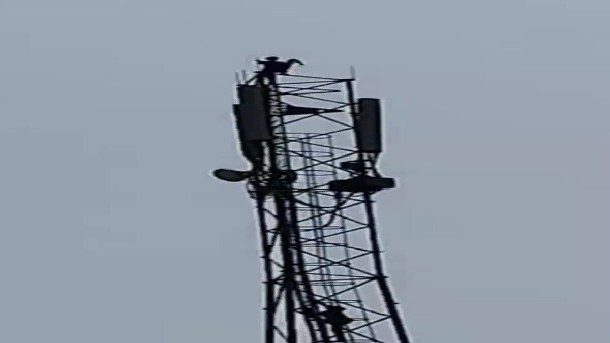 नाराज होकर नाबालिग मोबाइल टावर पर चढ़ी (Photo: Screengrab)