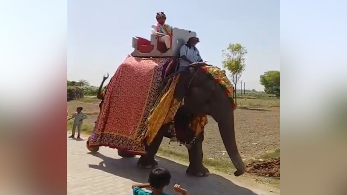 गांव की गलियों में देखने वालों की लगी भीड़. (Photo: Screengrab)