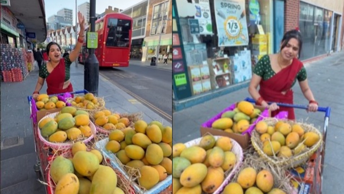 indian mango london video, mango price london vs india,